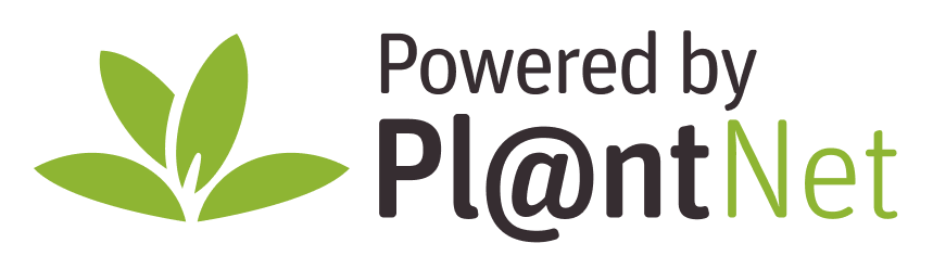 Powered by Pl@ntNet